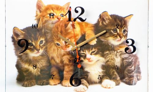 Часы настенные «Котята»