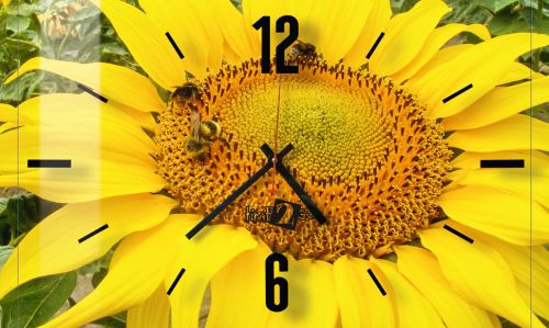 Часы настенные «Пчелки»