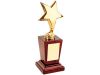 Награда «Звезда» на постаменте